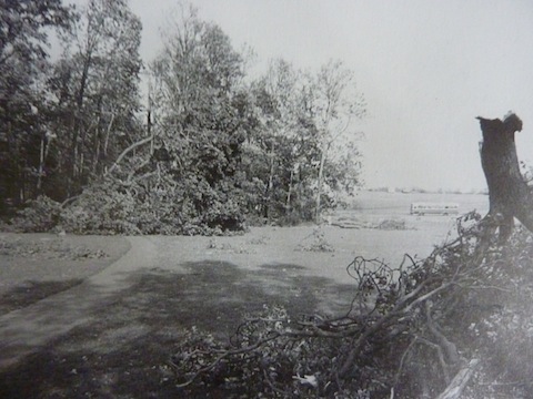 Flashback to The Great Storm of 1987. Do you recognise this location?