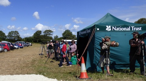 A crowd gathers at Wydcombe Estate on the Isle of Wight.