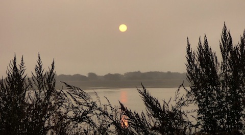 The sun battles to break though the morning sea mist at Farlington.