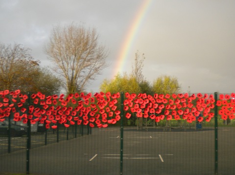 Display of poppies at Guildford Grove School in Park Barn.
