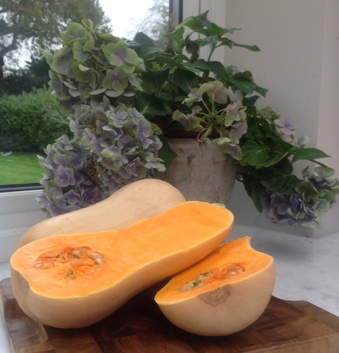 Butternut squash are great root vegetables to cook this time of year.