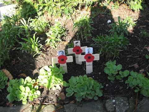 Wooden crosses placed in a flower bed in the Castle Grounds. Picture by Sheila Atkinson.