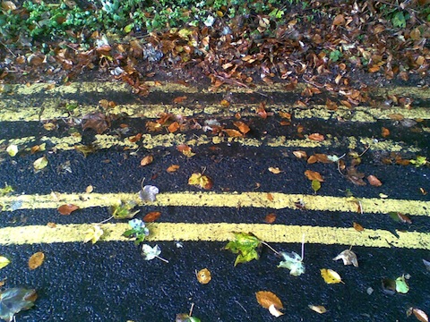 Where can these five yellow lines be found?