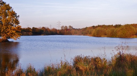 a view across Stoke Lake on the last day of October.
