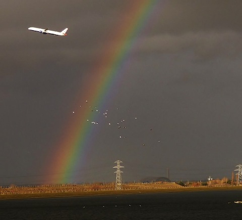 A Distant flock of lapwing, while a big tin bird flies off somewhere over the rainbow.