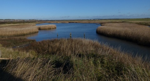 A view across the marshes at Farlington.