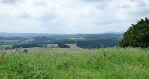 View from Newlands Corner. GG is calling for the Surrey Hills to be made a National Park.