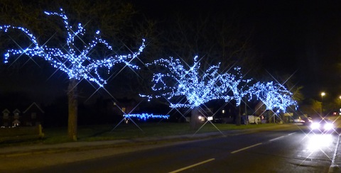 Sparkling trees along perry Hill Green in Worplesdon.