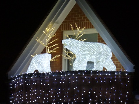 And a close up of the polar bears on Setfords' premises in Jenner Road.