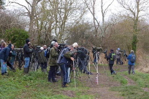 A keen group of birdwatchers start to gather.