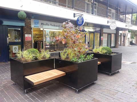 One of Experience Guildford's planting schemes in Phoenix Court.