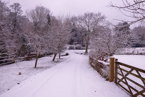 More snowy scenes in Shamley Green.