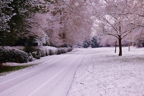 Snowy scenes in Shamley Green on February 3.