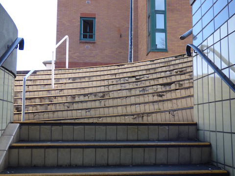 Do you know where these steps are?