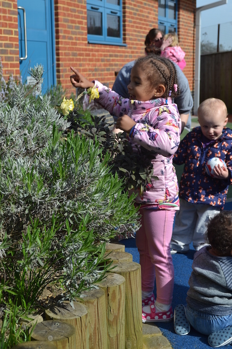 Children learn about plants and even grow some vegetables at the Spinney.