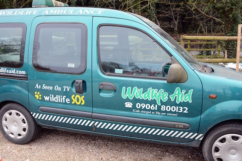 Wildlife Aid's van.