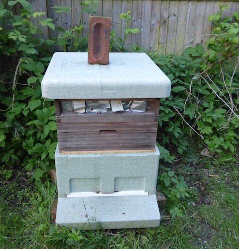 One of Hugh's hives.