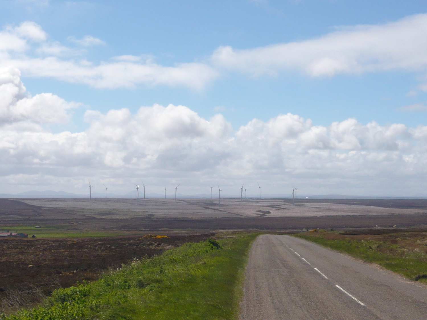 A wind farm appeared to be set in scorched earth. 