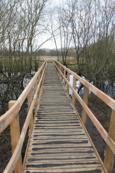 Boardwalk at the Stoke Nature park.