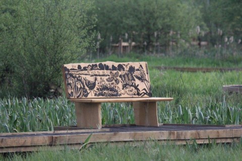 One of the benches at the Riverside Nature Park. Picture: Jim Allen.