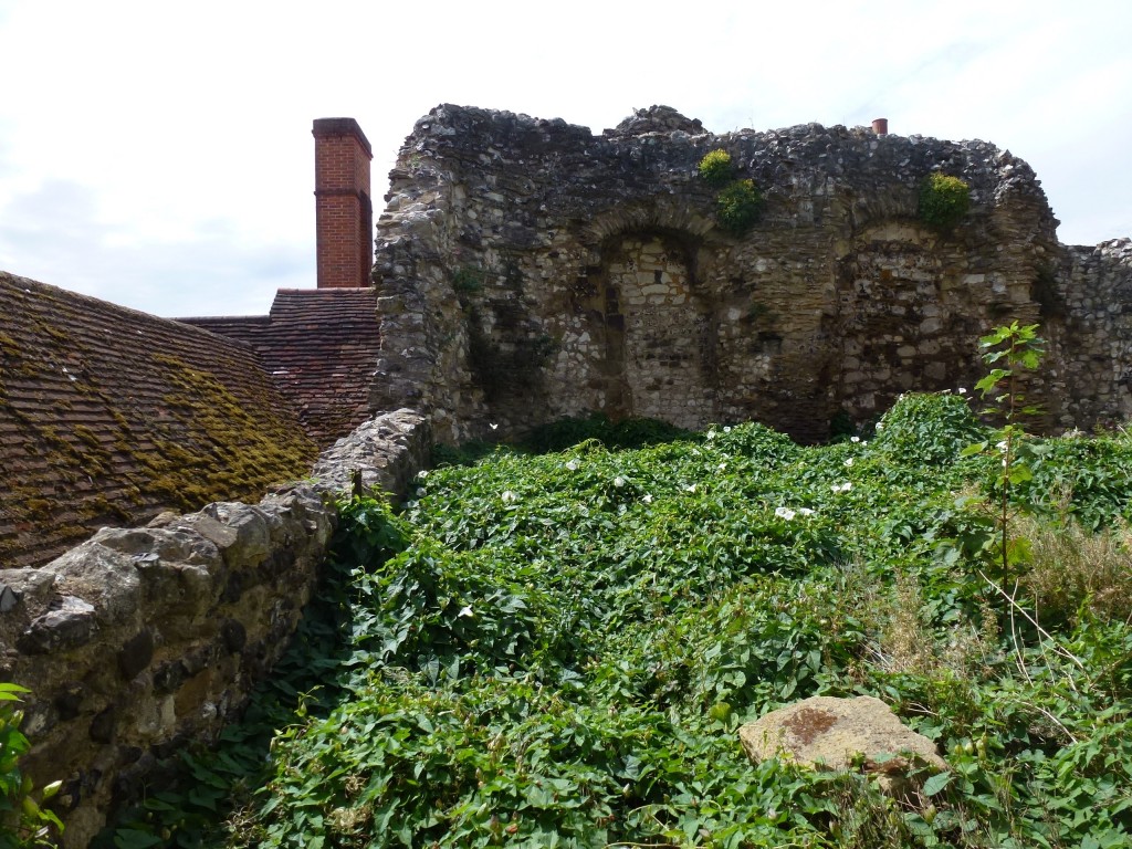 The rear of the museum with ruined walls that could be utilised in proposals that would have linked the museum with the castle grounds.