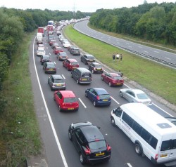 Vehicles backed up on the northbound carriageway pictured from the Clay Lane bridge at Burpham. Note the southbound carriageway is devoid of vehicles.