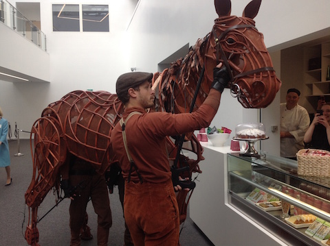 Joey from War Horse looking fore some food!
