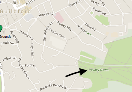 Map showing Pewley Down where the dog attacks are reported to have taken place.