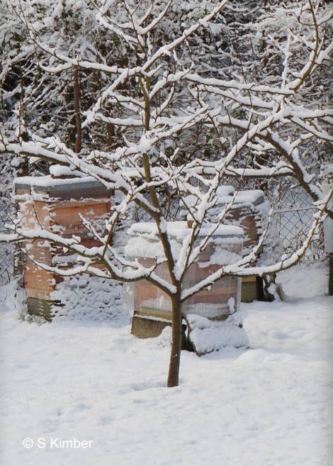 Beehive in February 2012 covered in snow
