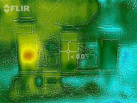 Thermal image of beehives in the winter