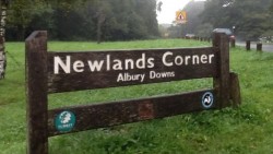 Newlands Corner