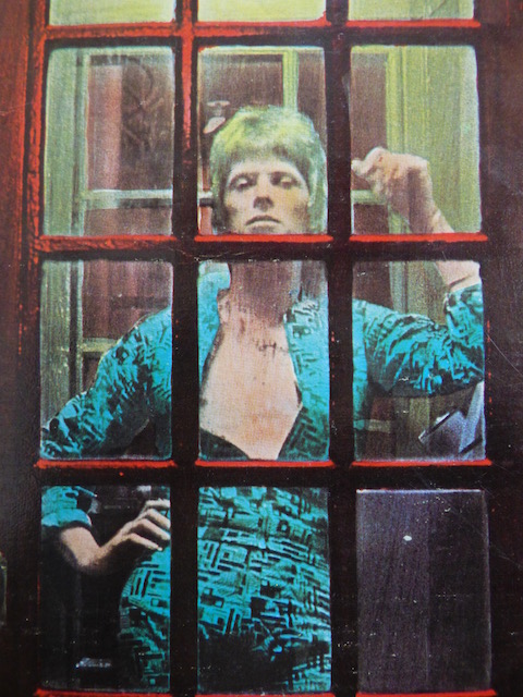 David Bowie pictured on the back cover of the Ziggy Stardust album.