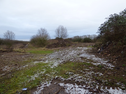 Area at Slyfield close to the sewage drying flats as noted by Jim Allen in his open letter.