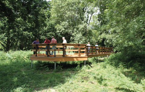 The viewing platform at the Hunt Nature Reserve. Picture courtesy of the Wey & Arun Canal Trust.