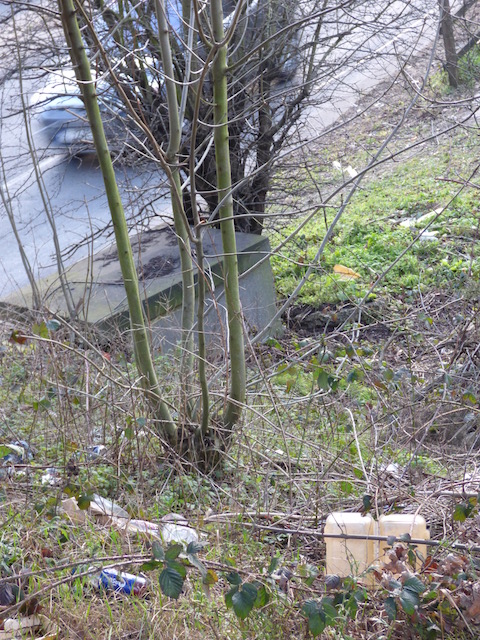 A real litter 'grot spot' as viewed from the footbridge at the foot of Woodbridge Hill.
