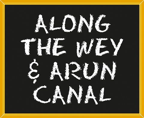 Along the Wey & Arun Canal
