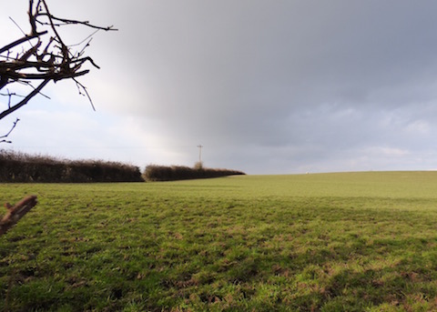 One of the fields at Russel Place Farm adjoining Frog Grove Lane, Wood Street Village.