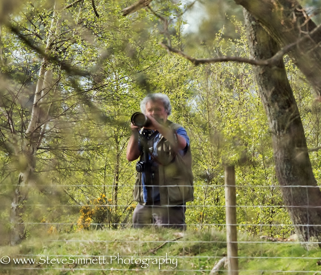 Caught in action by the 'Parish Field' Thursley Common.