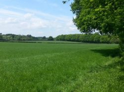 Green belt land in Normandy. Some residents are concerned about potential development.
