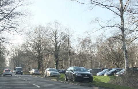 1. Cars parked along the verge at the front of the Salt Box Rd Car Park, Whitmoor Cmmn. 4.15pm 13.3.16