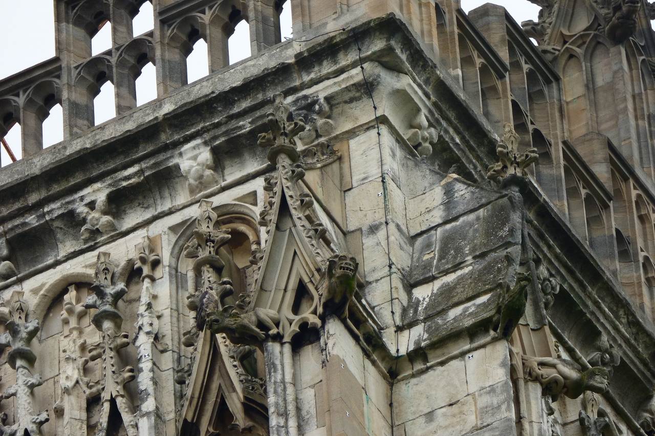 Can you spot the peregrine on the north-west tower?