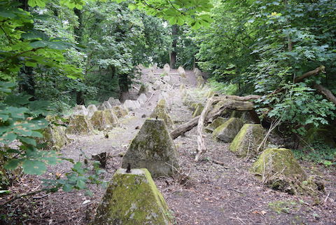 The Second World War anti-tank traps in the wood near the Spectrum leisure centre.