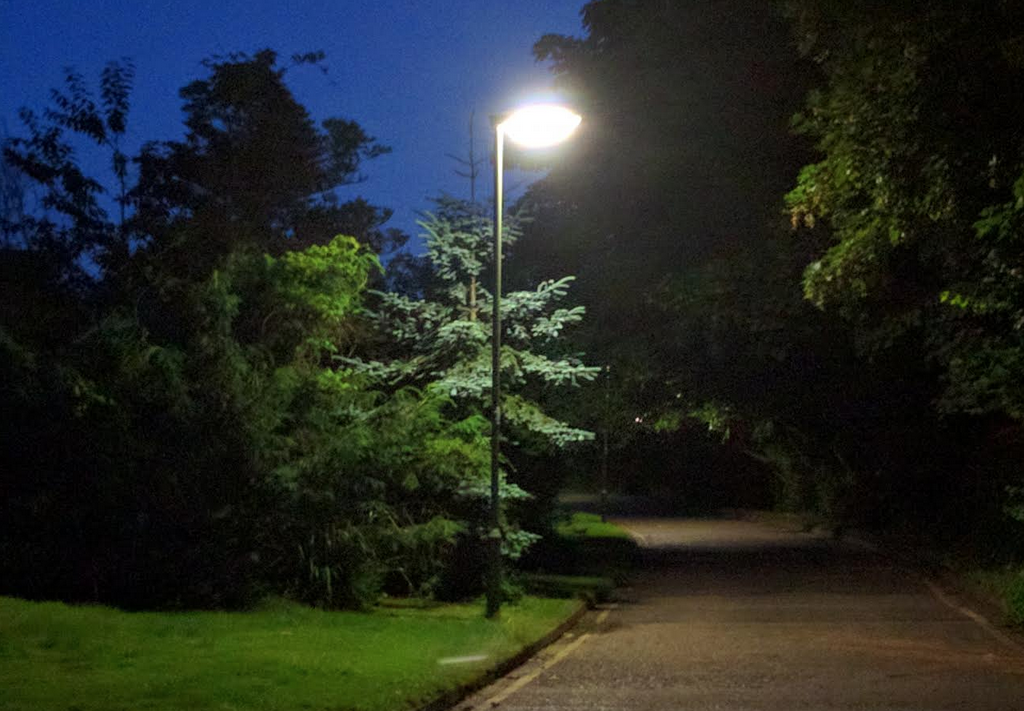 A Guildford street light that might be switched off between midnight and 5am to save money.