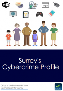 Cybercrime Profile