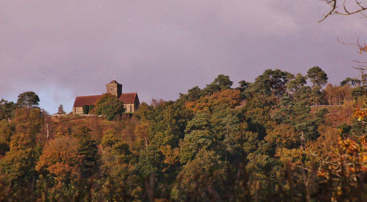 Autumn descends on St Martha's Hill.