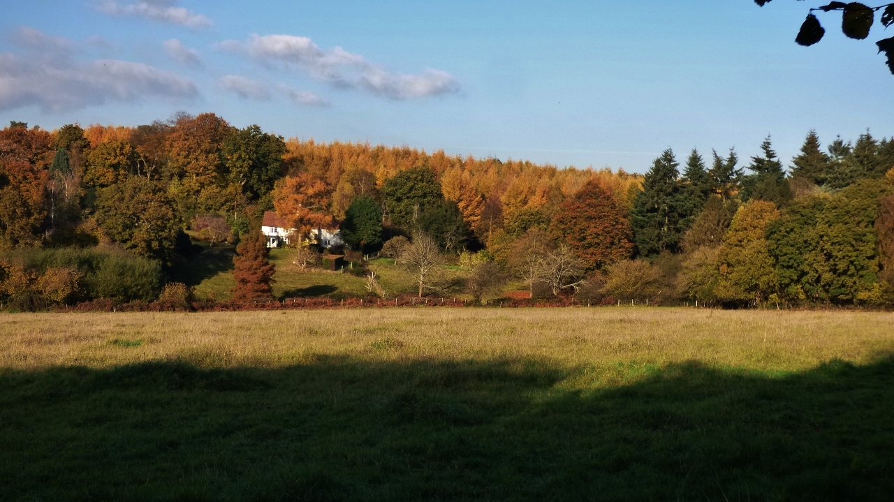 A view of autumn in the Surrey Hills.