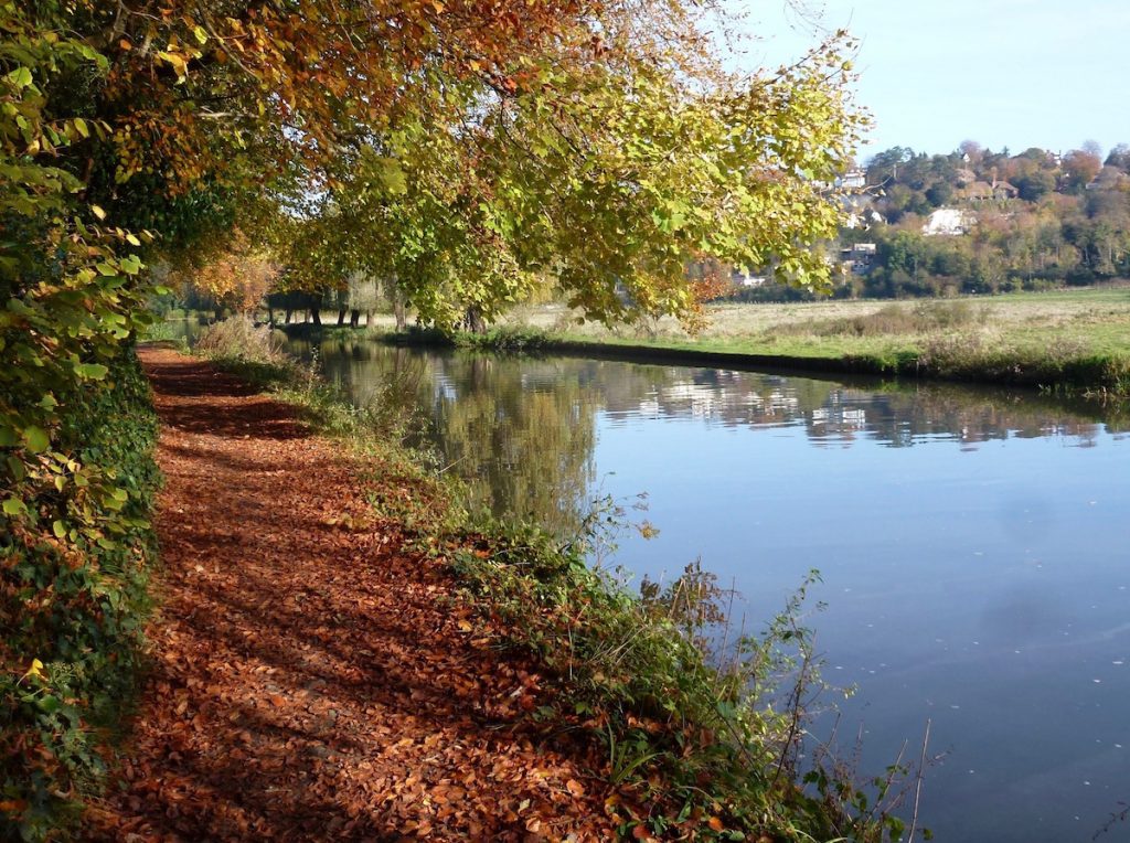Another image showing the beautiful russet colours of autumn on the tow path.