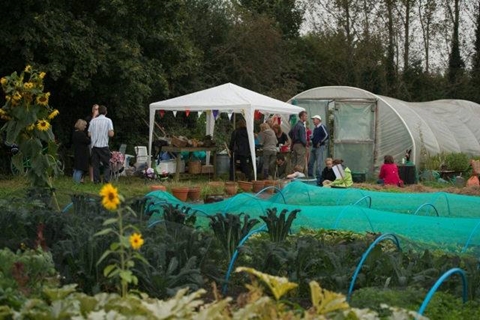 Rosamund Community Garden Guildford.