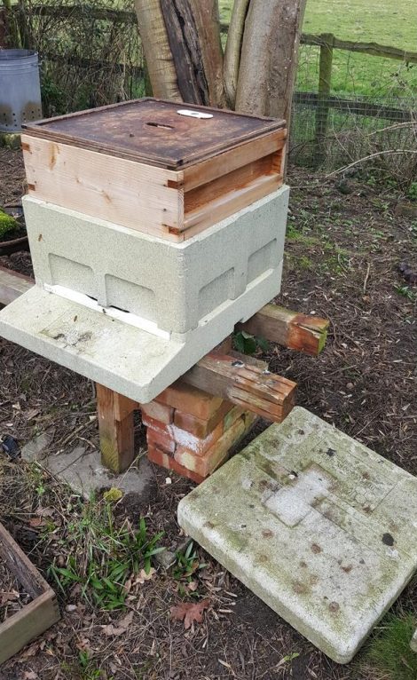 Roof blown off the polystyrene hive leaving the bees exposed to the wind and rain.