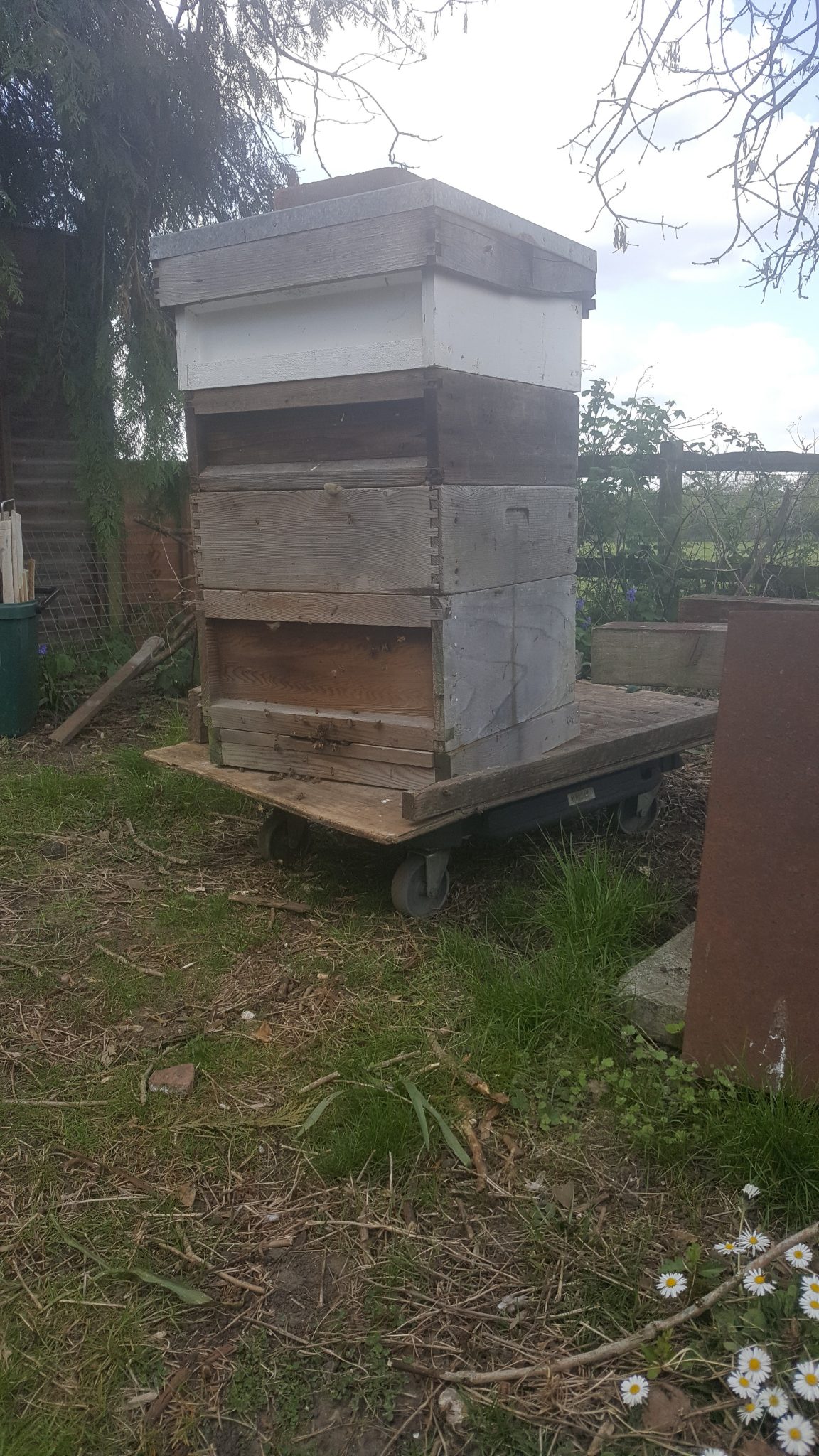 A trolley is useful to move bees.